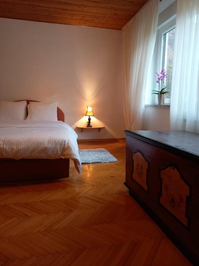 Riverside Villa Avo - Apartment Martin Spodnja Idrija Luaran gambar