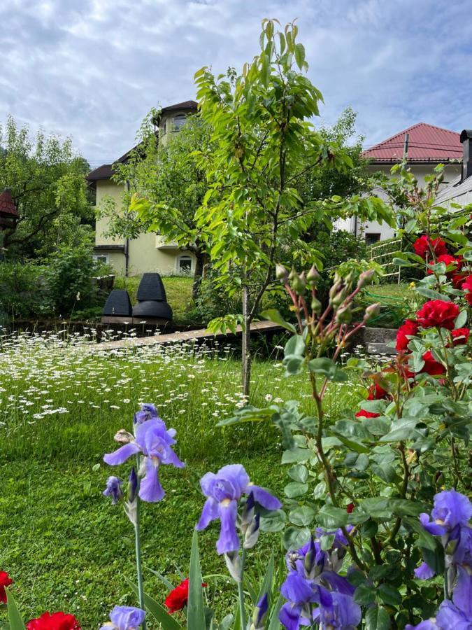 Riverside Villa Avo - Apartment Martin Spodnja Idrija Luaran gambar